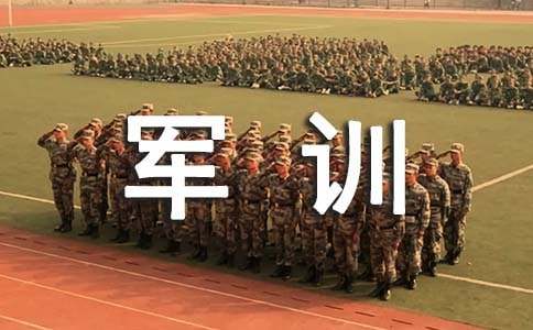 毅力优秀作文【实用3篇】