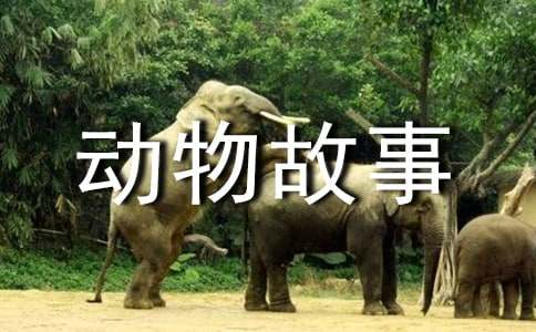 新能源汽车技术7-新能源汽车的充电系统【优选3篇】