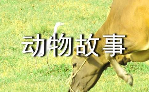 贷款申请书（精选6篇)