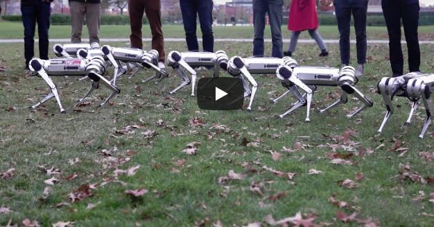 AP_19312561456617.jpg 观看麻省理工学院的“迷你猎豹”机器人嬉戏,摔倒,翻转—一起踢足球 中国机械网,okmao.com