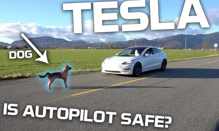 特斯拉自动驾驶仪会打狗，人还是交通锥吗？ 中国机械网,okmao.com