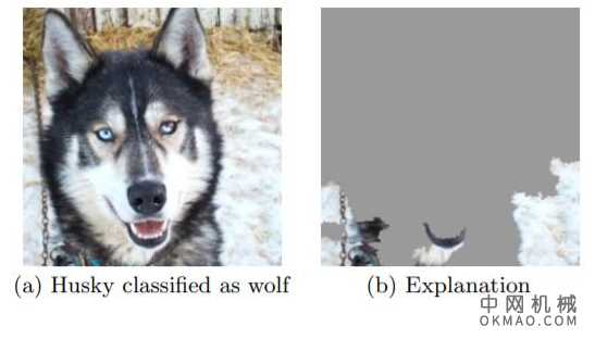 人工智能专业最好的大学排名，北京大学仅排第五 榜首一致认同，微众银行 CAIO 杨强：人工智能下一步离不开人 中国机械网,okmao.com
