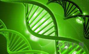 人工智能识别同一物种的个体鸟类，人类很难仅通过查看它们的羽毛上的图案来识别它们 中国机械网,okmao.com