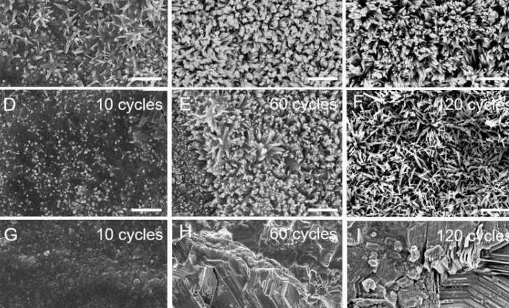 生物形态电池可以为机器人提供72倍的能量 中国机械网,okmao.com