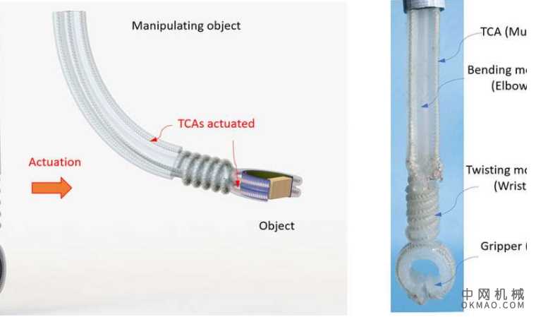 用缝纫线制成的人造肌肉为软机器人带来了新的动作 中国机械网,okmao.com