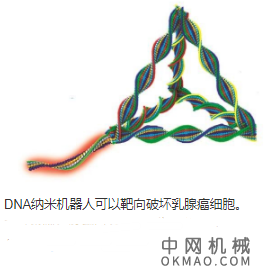 DNA纳米机器人靶向HER2阳性乳腺癌细胞，具有体外增强的HER2蛋白溶酶体降解能力的智能DNA纳米机器人  中国机械网,okmao.com