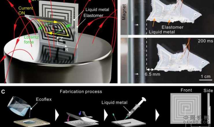 研究人员开发具有医学潜力的软电磁致动器：以嵌入在金属中的液态金属通道代替固态金属线圈 中国机械网,okmao.com
