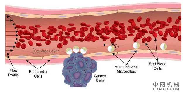 基于白细胞的受生物启发的微型机器人：它具有白细胞的形状，大小和移动能力 中国机械网,okmao.com