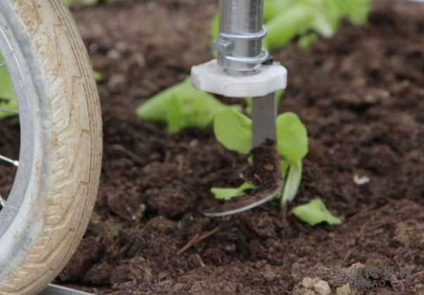 机器人除草有机农场并巡逻温室害虫 中国机械网,okmao.com