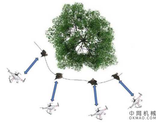 在四旋翼无人机中重建蝙蝠行为的仿真框架 中国机械网,okmao.com