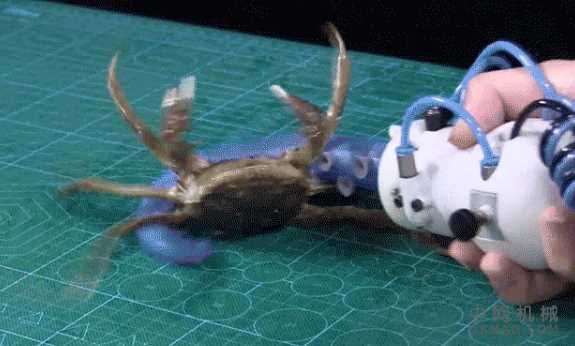 受章鱼启发的机器人可以抓握，移动和操纵各种物体 中国机械网,okmao.com