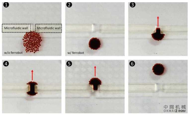 工程师为生物技术应用开发小型化的“仓库机器人” 中国机械网,okmao.com