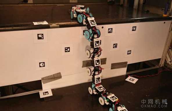 蛇帮助工程师设计搜索和救援机器人 中国机械网,okmao.com