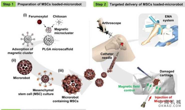 微型机器人系统再生兔的膝关节软骨 中国机械网,okmao.com