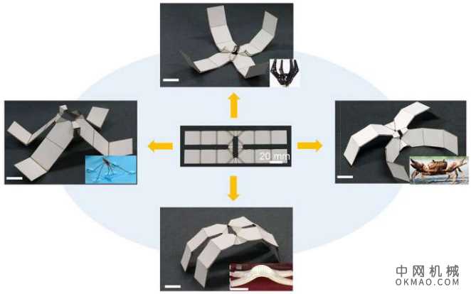 研究人员使用自动折叠的折纸材料制作机器人 中国机械网,okmao.com