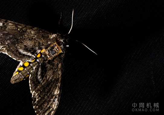 这些微小的传感器可以搭便车 中国机械网,okmao.com