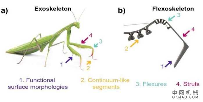 柔性骨架印刷：为昆虫启发的机器人制造柔性外骨骼 中国机械网,okmao.com