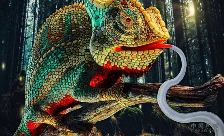 变色龙的舌头撞击启发了快速动作的机器人，在距离不超过一半半的不知情的昆虫上发动粘舌 中国机械网,okmao.com