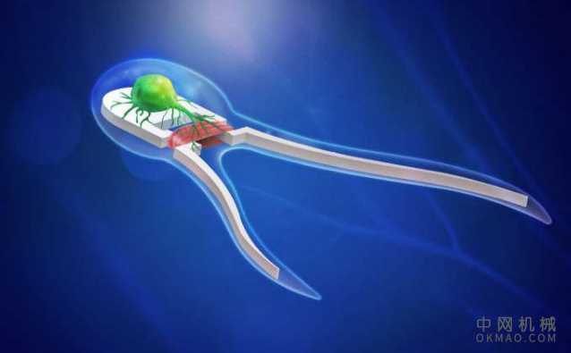 研究人员建造了由肌肉，神经推动的微观生物混合机器人 中国机械网,okmao.com