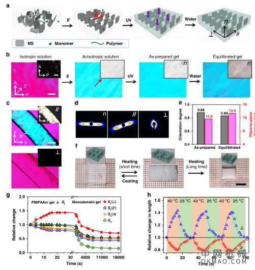 浙大吴子良/南科大洪伟《自然·通讯》：让水凝胶软体机器人在开放空间全向爬行 中国机械网,okmao.com