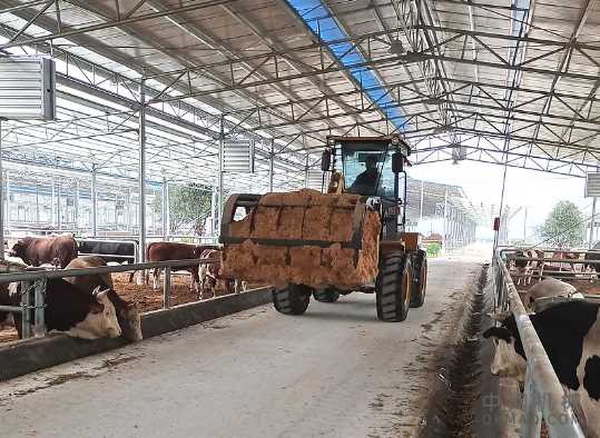 有口皆碑!柳工差异化小型装载机助你行天下 中国机械网,okmao.com