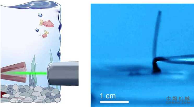 使用自持水凝胶振荡器构建的软战术游泳机器人 中国机械网,okmao.com