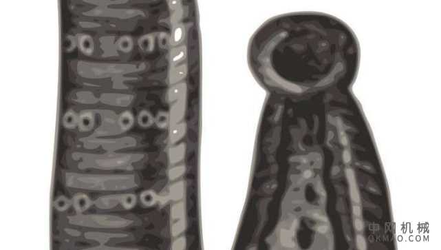受水ech启发的爬壁机器人：已经开发了一种可以爬垂直壁的柔软灵活的ech形机器人 中国机械网,okmao.com