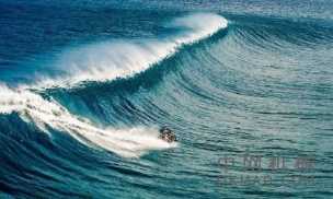 小型冲浪机器人教给我们有关表面张力的信息：在表面张力的化学变化的推动下，跨流体界面冲浪的微型机器人引导研究人员提出新的想法 中国机械网,okmao.com