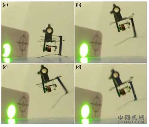 跳跃和扑翼微型机器人的新设计：加州大学伯克利分校的研究人员最近设计了两种昆虫规模的微型机器人 中国机械网,okmao.com