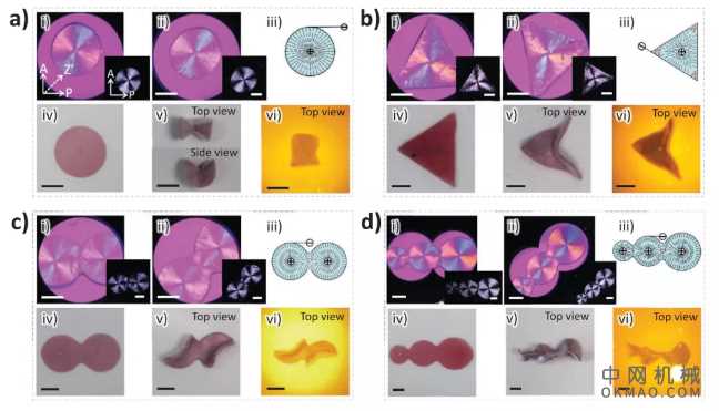 水凝胶机器人再升级！浙江大学吴子良《AM》：通过分布式电场任意编程水凝胶的形变 中国机械网,okmao.com