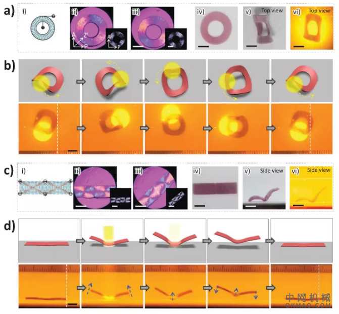 水凝胶机器人再升级！浙江大学吴子良《AM》：通过分布式电场任意编程水凝胶的形变 中国机械网,okmao.com