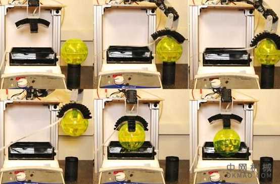 机器人手臂与工程细菌共味：夹具是基于生物学的软机器人的概念证明 中国机械网,okmao.com