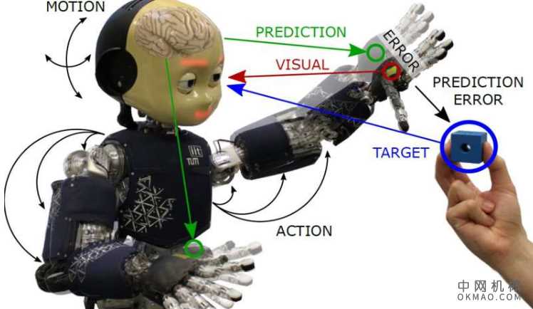 将主动推理身体感知应用于类人机器人 中国机械网,okmao.com