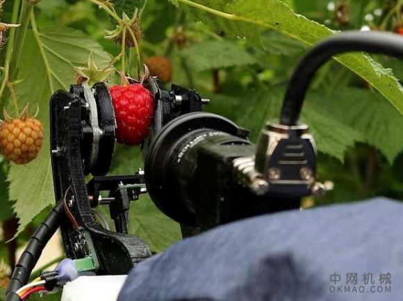 Fieldwork Robotics完成了覆盆子收获机器人系统的初步现场试验 中国机械网,okmao.com