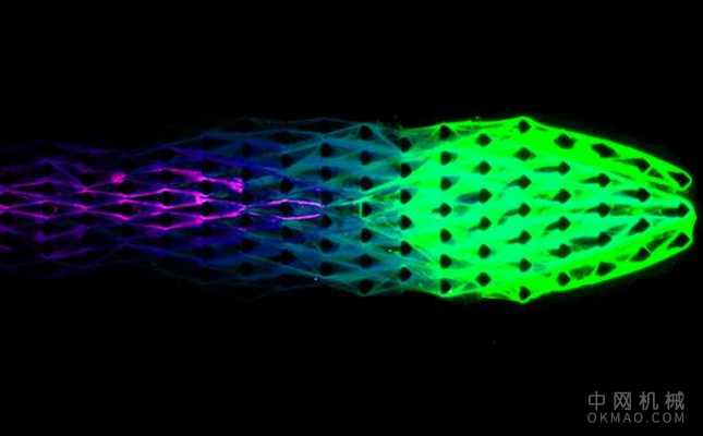 工程师利用DNA创造“栩栩如生”的机器 中国机械网,okmao.com