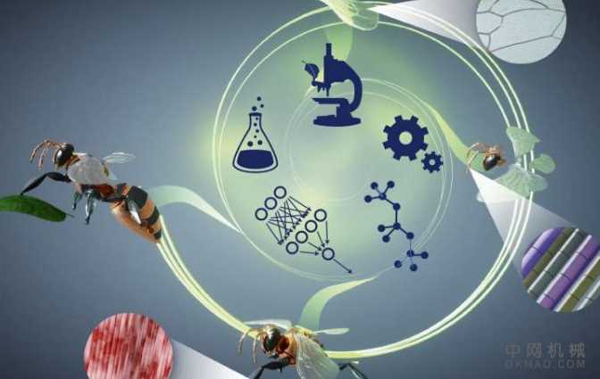 物理AI的技能发展可以孕育栩栩如生的智能机器人 中国机械网,okmao.com