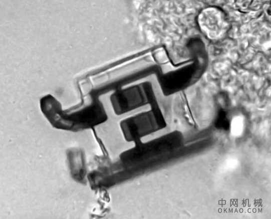 得益于激光技术，微型机器人得以“行走” 中国机械网,okmao.com