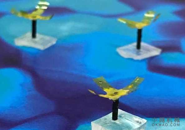 受到珊瑚虫息肉的启发,这个塑料迷你机器人在磁力和光线的作用下移动 中国机械网,okmao.com