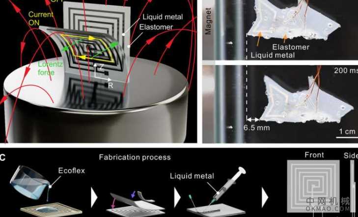 研究人员开发具有医学潜力的软电磁致动器 中国机械网,okmao.com