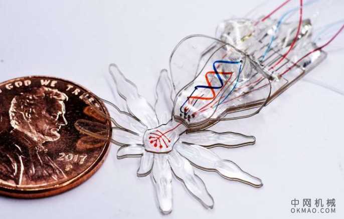 柔软的多功能机器人体积很小：尚不可能制造出可以在较小规模下移动和操作的多功能柔性机器人 中国机械网,okmao.com