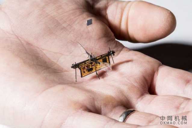 第一个无线飞行机器人昆虫起飞,RoboFly比牙签稍重,并由激光束驱动 中国机械网,okmao.com