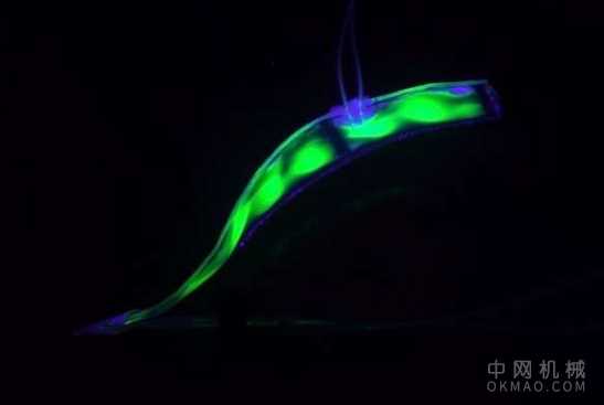 透明的类似鳗鱼的软机器人可以在水下安静地游泳 中国机械网,okmao.com