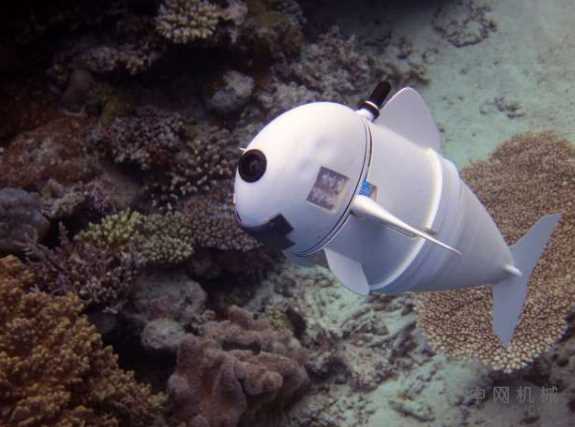 柔软的机器鱼在珊瑚礁中与真实的鱼一起游泳 中国机械网,okmao.com
