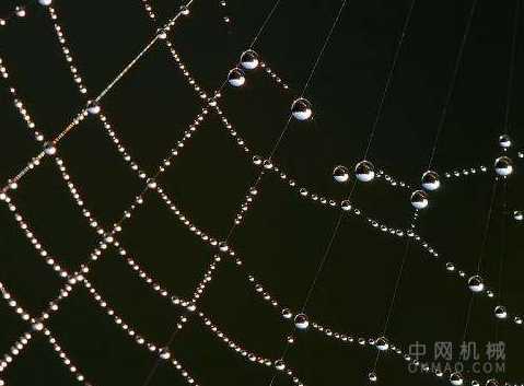 机器人蜘蛛和蜜蜂：受生物启发的微型机器人的兴起 中国机械网,okmao.com