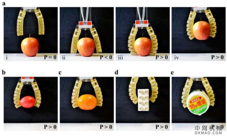 EPFL研究人员在IROS 2017上展示了可食用的执行器 中国机械网,okmao.com