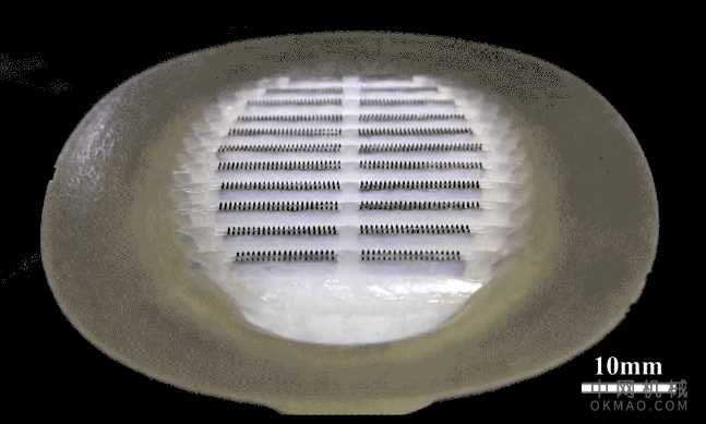 Remora机器人能够快速牢固地粘附于水下物体 中国机械网,okmao.com