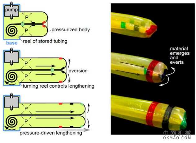 研究人员开发出一种新型的,不断发展的软机器人 中国机械网,okmao.com