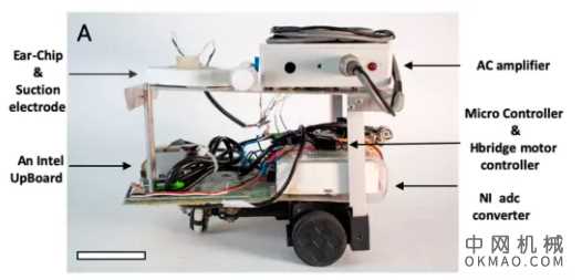 给机器人装上蝗虫耳朵，以色列科学家实现生物传感器新突破！ 中国机械网,okmao.com