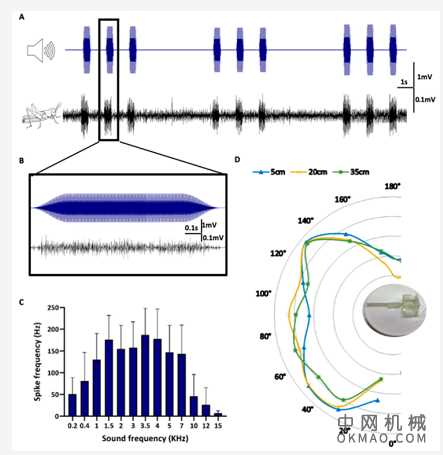 给机器人装上蝗虫耳朵，以色列科学家实现生物传感器新突破！ 中国机械网,okmao.com