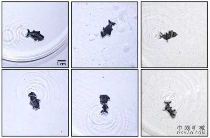 研究人员发明了一种能自我“治愈”的游泳机器人 中国机械网,okmao.com